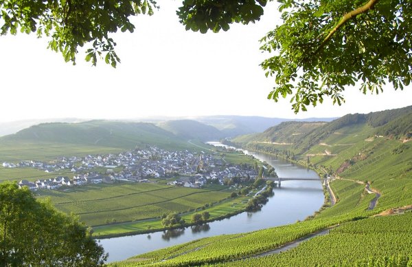 Trittenheim Moselschleife